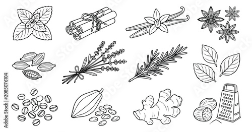 Bild auf Leinwand Aromatic culinary spice and herb vector icon set, featuring mint, cinnamon, vani
