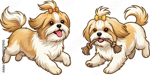 Schilderij op canvas Cute Shih Tzu Puppy Dog Vector Illustration Pair Running and Playing with Rope T