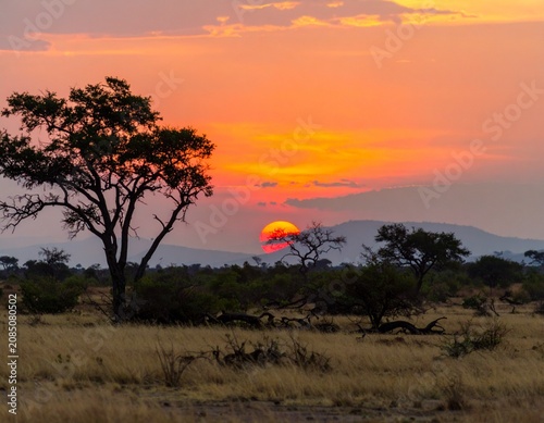 Sunrise over the savanna and grass fields in central Kruger National Park in South Africa