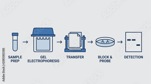 Tableau sur toile Western Blot Protein Detection Technique