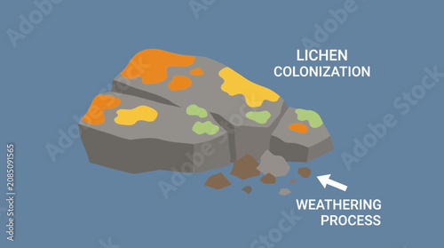 Bild auf Leinwand Lichens Rock Colonization Weathering Process