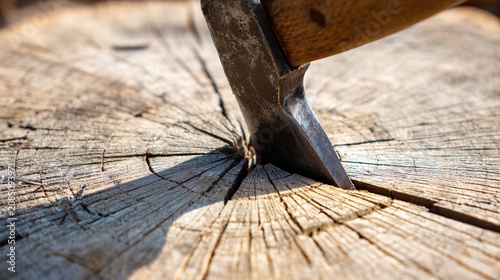 precisely. Axe blade embedded in center of round log, close-up impact point, outdoor light, wood grain detail. safety posters.