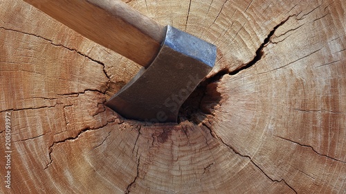 precisely. Axe blade embedded in center of round log, close-up impact point, outdoor light, wood grain detail. safety posters.