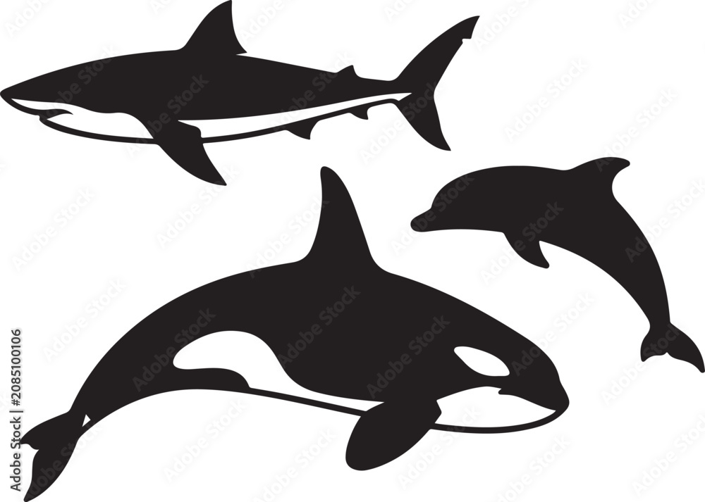 Fototapeta premium Black orca, shark and dolphin silhouettes, marine animal vector icons, ocean creatures, sea life