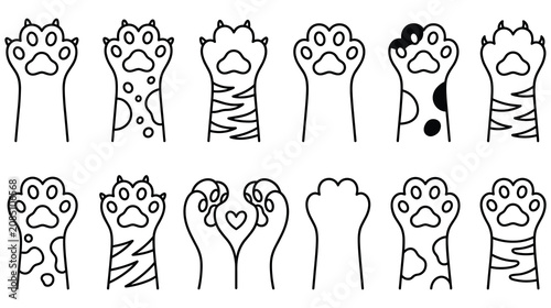 Photography Set of cat paw print vector line icons