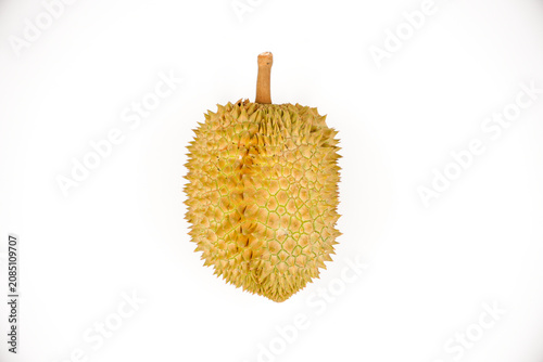 Fotografía Durian fruit in south east asia, the king of fruits on white background