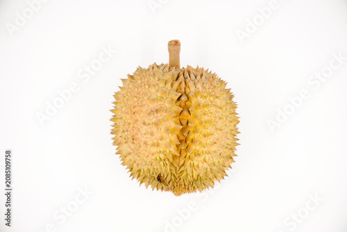 Foto Durian fruit in south east asia, the king of fruits on white background