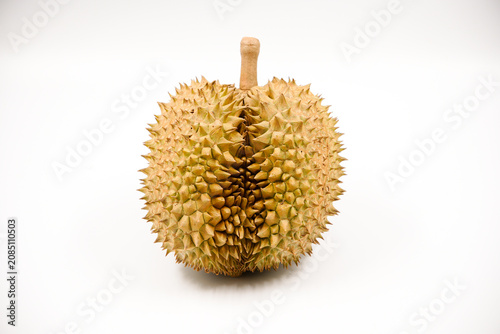 Cuadro en lienzo Durian fruit in south east asia, the king of fruits on white background
