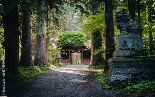 戸隠神社