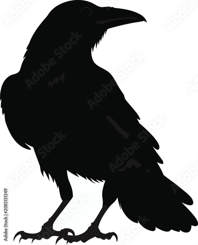 Black Crow Silhouette, Bird Icon, Raven Vector, Wildlife Illustration