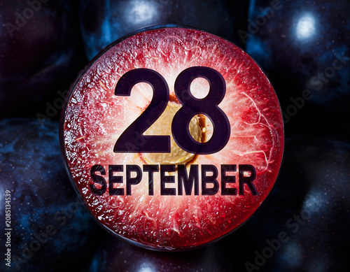 Ripe plum cut in half showing dark purple skin and seed with date text of September 28