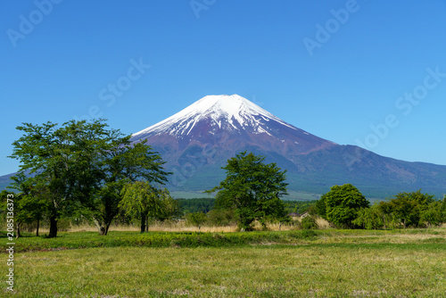 Beautiful rural scenery of Oshino Village with fresh green trees and Mount Fuji under a clear blue sky in spring, Yamanashi, Japan.