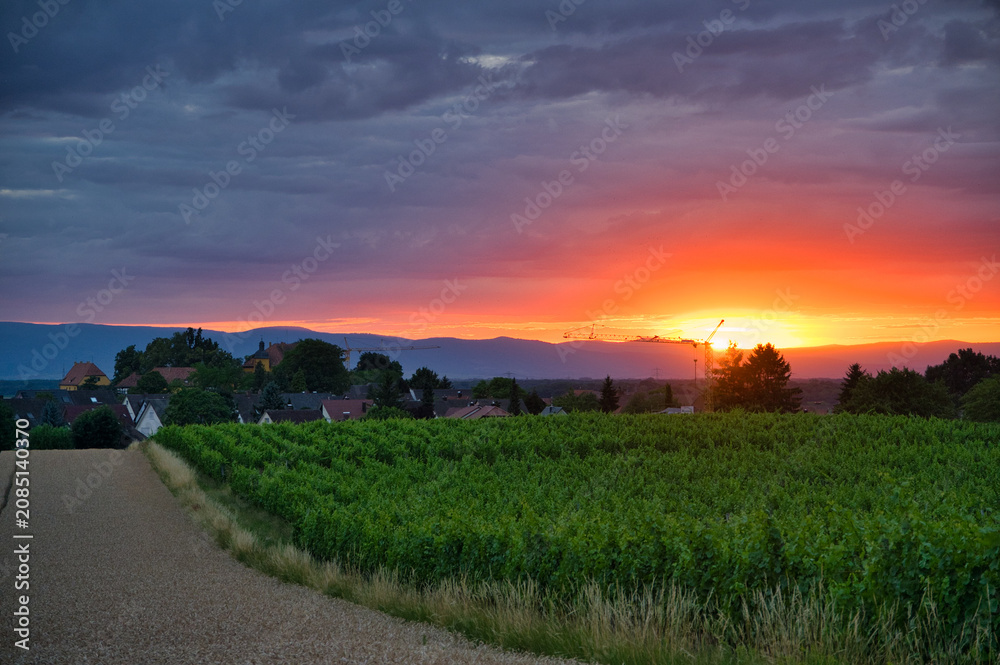 Obraz premium Sonnenuntergang in der Ortenau bei Mahlberg
