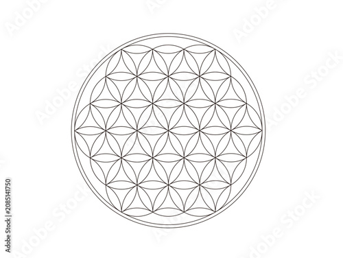 フラワーオブライフ flower of life  横向き