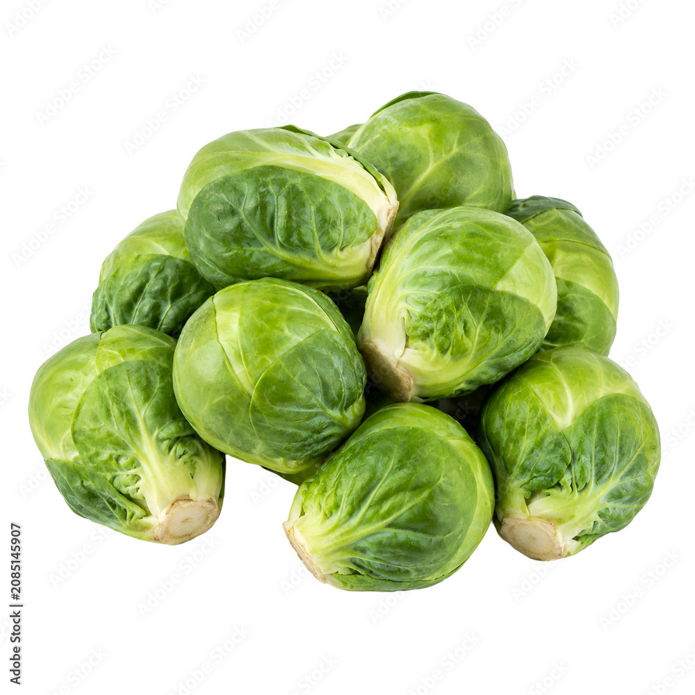 Fototapeta premium cabbage isolated on white