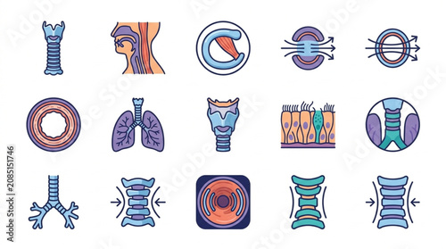 фотографія Collection of Medical Icons Representing the Human Respiratory System and Larynx