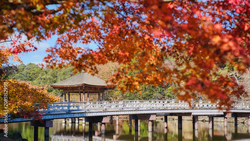 Ukimidou with red maple in autumn, Nara public park, Nara, Japan.
