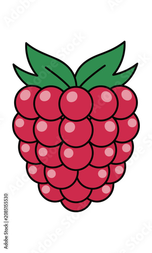 Vibrant ripe raspberry with green leaves on a solid white background flat design concept