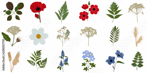 Картината върху платно Botanical Illustration Collection With Various Flowers And Foliage Flat Vector
