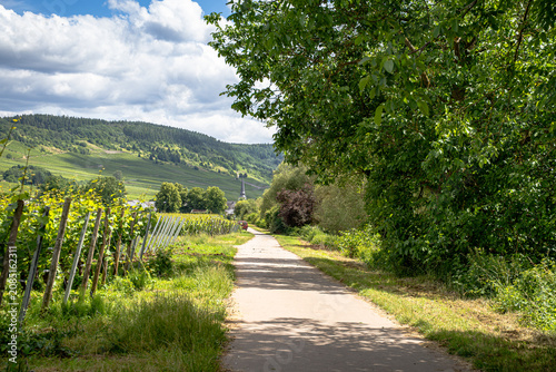 Nur einen stillen Moment zwischen sattgrünen Bäumen, das sanfte Glitzern der Mosel und den Kirchturm in der Ferne, der über die Landschaft wacht.