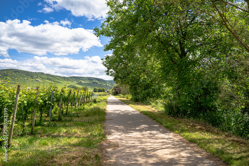Nur einen stillen Moment zwischen sattgrünen Bäumen, das sanfte Glitzern der Mosel und den Kirchturm in der Ferne, der über die Landschaft wacht.