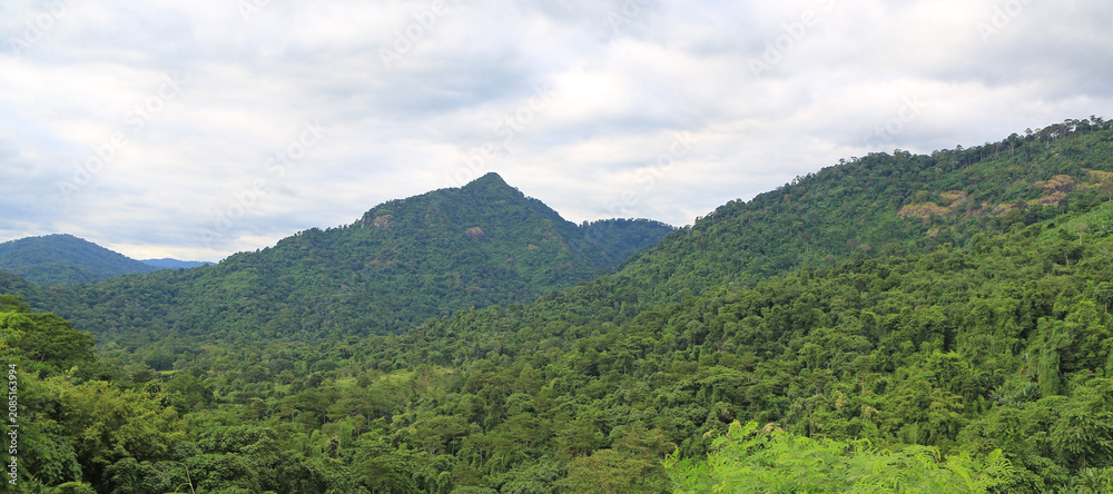 Fototapeta premium A breathtaking panoramic view of a lush tropical mountain range under a cloudy sky, featuring dense green forests and wild grass in the foreground.