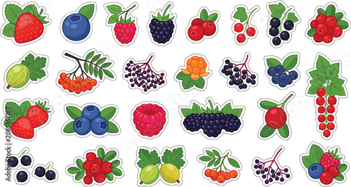 Fresh garden berry stickers collection set with strawberry blueberry raspberry blackberry cranberry and currant vector illustration for food packaging