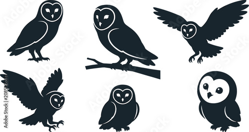 Foto Barn Owl Silhouette Clipart Collection Vector Featuring Wild Tyto Alba Bird Pose