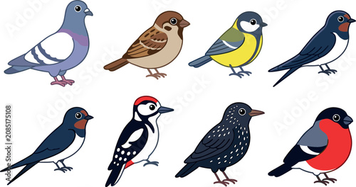 Cuadro en lienzo Cute Cartoon Garden Birds Vector Icon Set Featuring Kawaii Pigeon House Sparrow