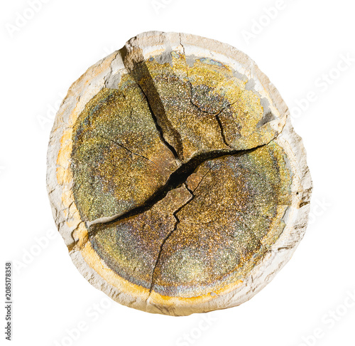 Obraz na plátně specimen of mineral from geological collection - natural chalcopyrite concretion