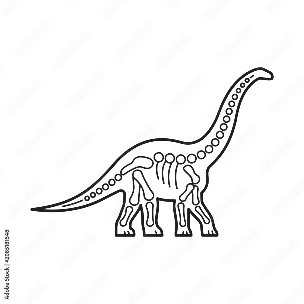 Fototapeta premium Dinosaur skeleton illustration black line drawing on a white background