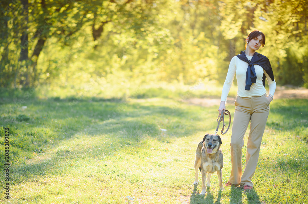 Fototapeta premium Woman walking dog in park during sunny spring day