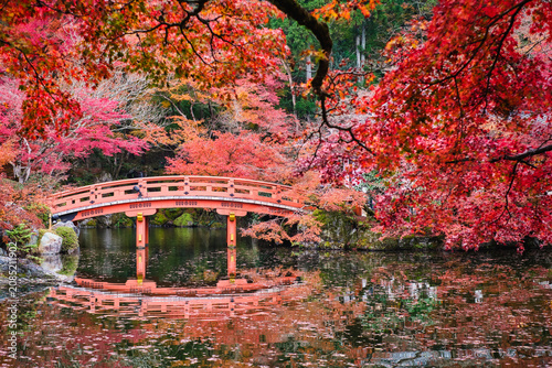 Autumn scenery of Daigoji temple (Daigo-ji) in Kyoto, Japan.