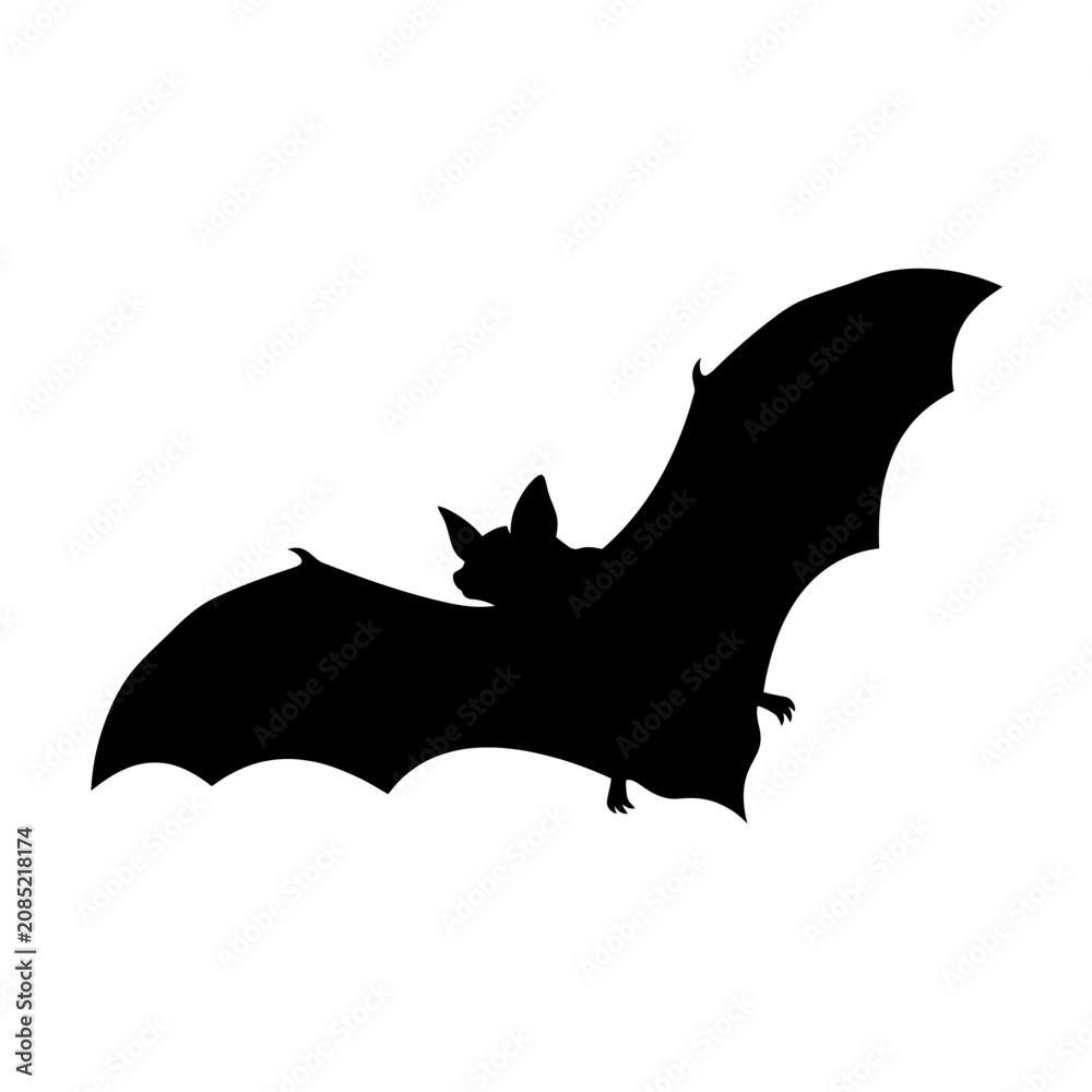 Fototapeta premium Black bat silhouette, flying mammal, Halloween icon, animal shape isolated on White Background