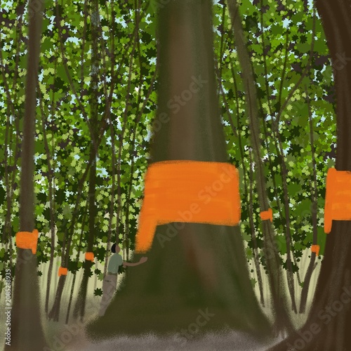 Tree ordination is a traditional conservation strategy that involves wrapping large trees in yellow cloth or saffron robes,thereby preventing deforestation driven by beliefs about sin and merit.