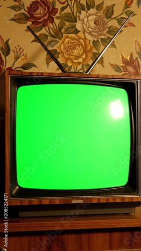 Retro television with green screen and rabbit ear antenna against vintage floral wallpaper