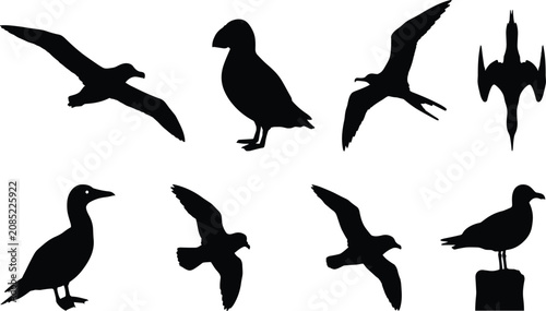 Cuadro en lienzo Seabirds black silhouettes set with flying albatross puffin gannet and seagull i