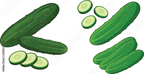 Foto Fresh Green Cucumber Vector Illustration Set with Whole Gherkins and Round Slice