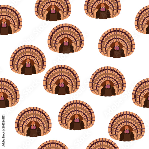 vector seamless pattern with turkey birds with spread tail feathers isolated on a white background