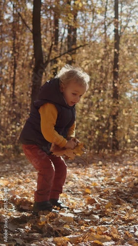 Curious toddler exploring fallen autumn leaves in a sunlit forest, bending and walking among golden foliage on a peaceful, crisp seasonal day outdoors