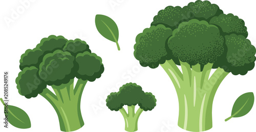 Obraz na płótnie Fresh green broccoli set with whole heads florets and green leaves isolated on w