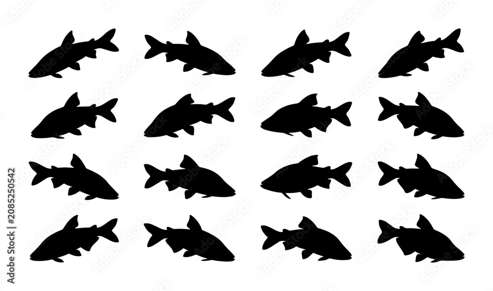 Fototapeta premium Silhouette Fish Collection, Aquatic Animal Icons, Marine Life Vector Graphics, Underwater Wildlife Patterns