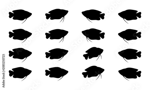 Cuadro en lienzo Seamless Pattern of Black Fish Silhouettes, Aquatic Life Vector Illustration, Si