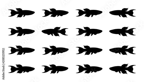 Obraz na płótnie Seamless Pattern of 16 Black Fish Silhouettes, Aquatic Life Vector Graphic, Simp