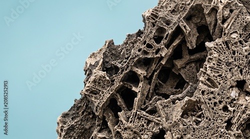 Creative Brown coral reef, intricate texture, ocean landscape, natural formation 2k