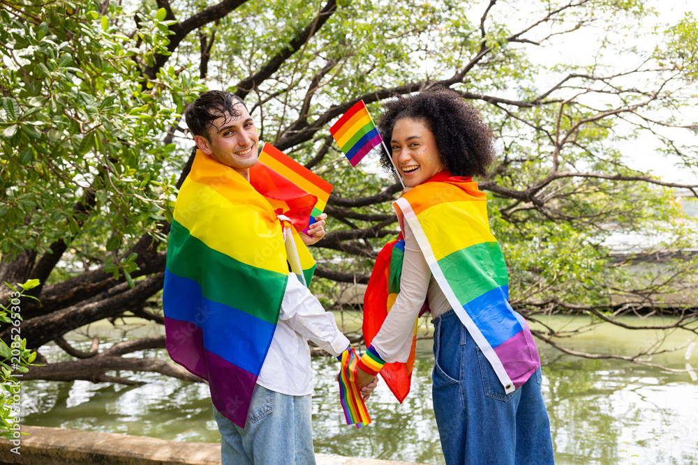 Fototapeta premium Young LGBTQ Couple Making Heart Shape with Rainbow Flags in Park
