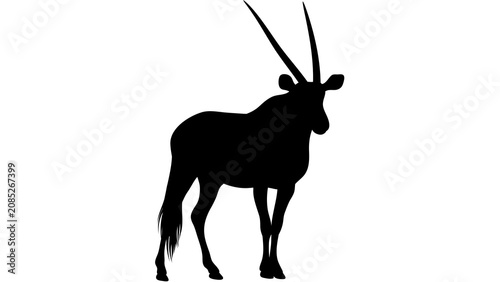 Obraz na płótnie Elegant oryx antelope silhouette illustration isolated on transparent background