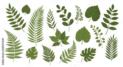 Large set of various green leaves including fern, palm, monstera, and maple for botanical design and nature compositions.