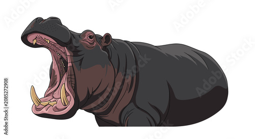 Large hippopotamus showing its massive teeth and pink mouth in a wide yawn or roar in a colorful animal illustration.