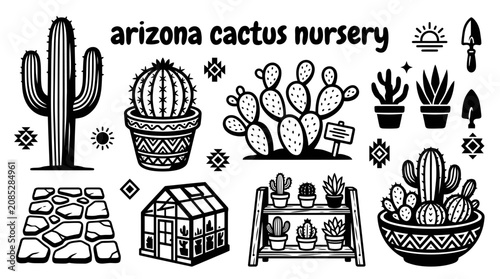 Fotografie organized cactus nursery in arizona with rows of desert plants decorative potter